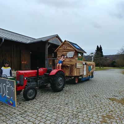 Faschingsumzug Kelheim 1