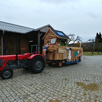 Faschingsumzug Kelheim 2