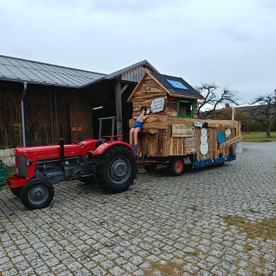 Faschingsumzug Kelheim 6