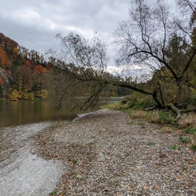 Herbst Impressionen 2020 19