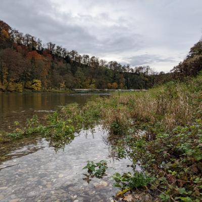 Herbst Impressionen 2020 22