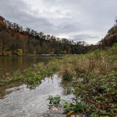 Herbst Impressionen 2020 23