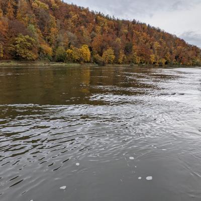 Herbst Impressionen 2020 26