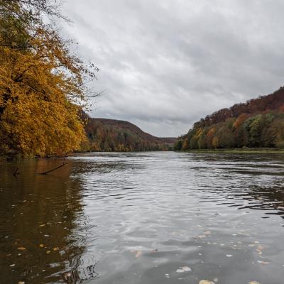 Herbst Impressionen 2020 2