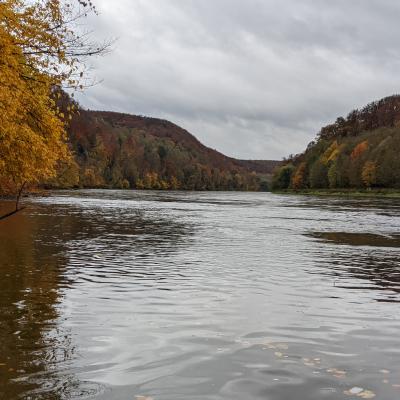 Herbst Impressionen 2020 3