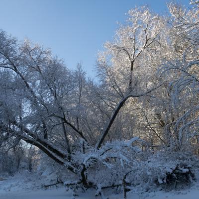 Winter Impressionen 13