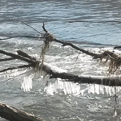 Winter Impressionen 10