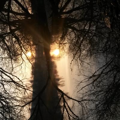 Winter Impressionen 12