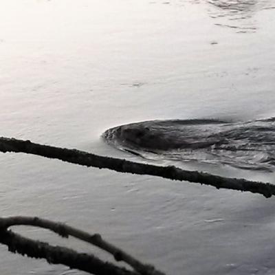 Winter Impressionen 17