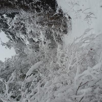 Winter Impressionen 18