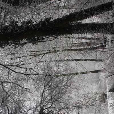 Winter Impressionen 19