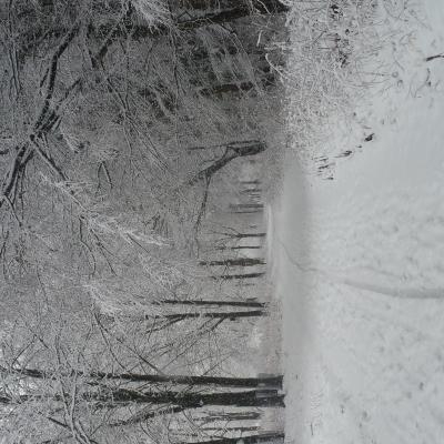 Winter Impressionen 20