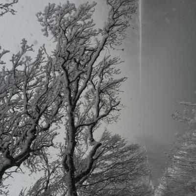 Winter Impressionen 22