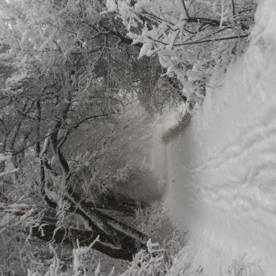 Winter Impressionen 23