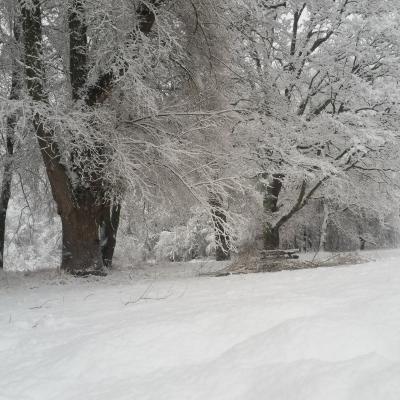 Winter Impressionen 27