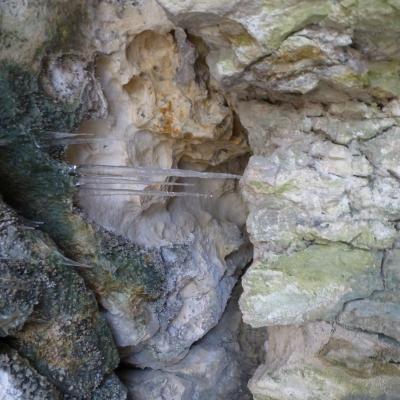 Winter Impressionen 31