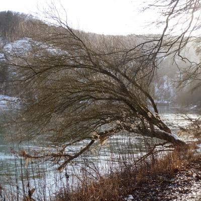 Winter Impressionen 36