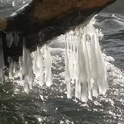 Winter Impressionen 3