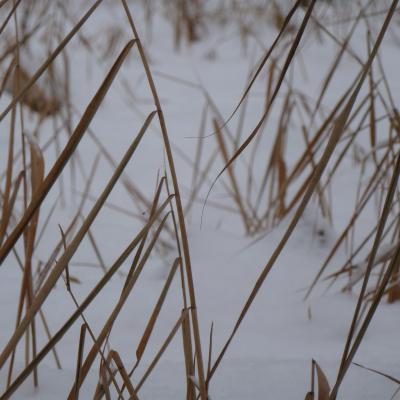 Winter Impressionen 40