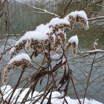 Winter Impressionen 41