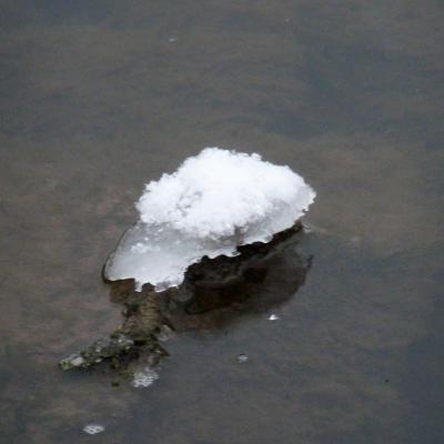 Winter Impressionen 44