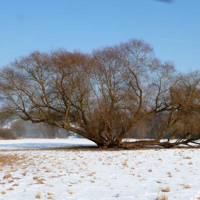 Winter Impressionen 45