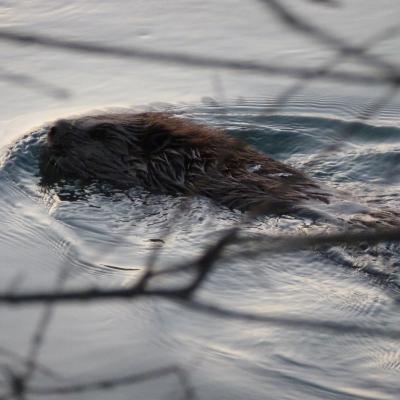 Winter Impressionen 48