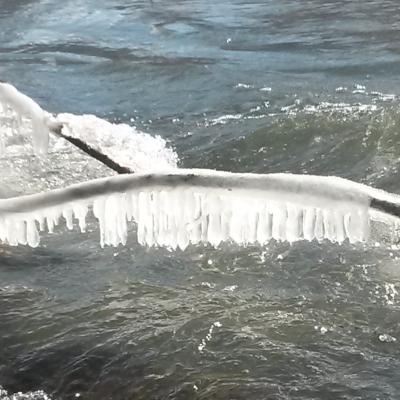 Winter Impressionen 4