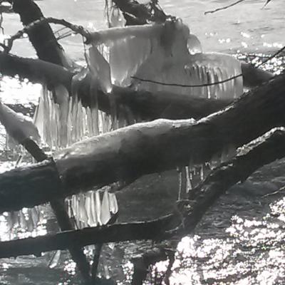 Winter Impressionen 8