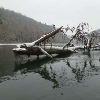 Winter Impressionen 7