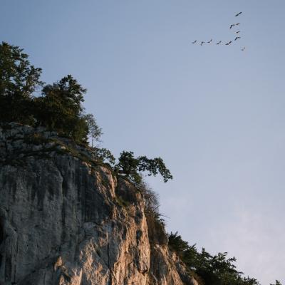 Sommer Impressionen 2021 6