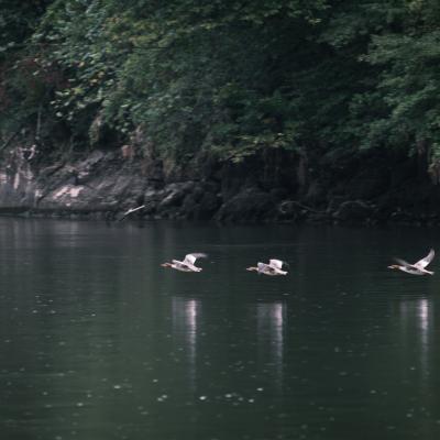 Kelheimer Abfahrtsrennen 2022 194