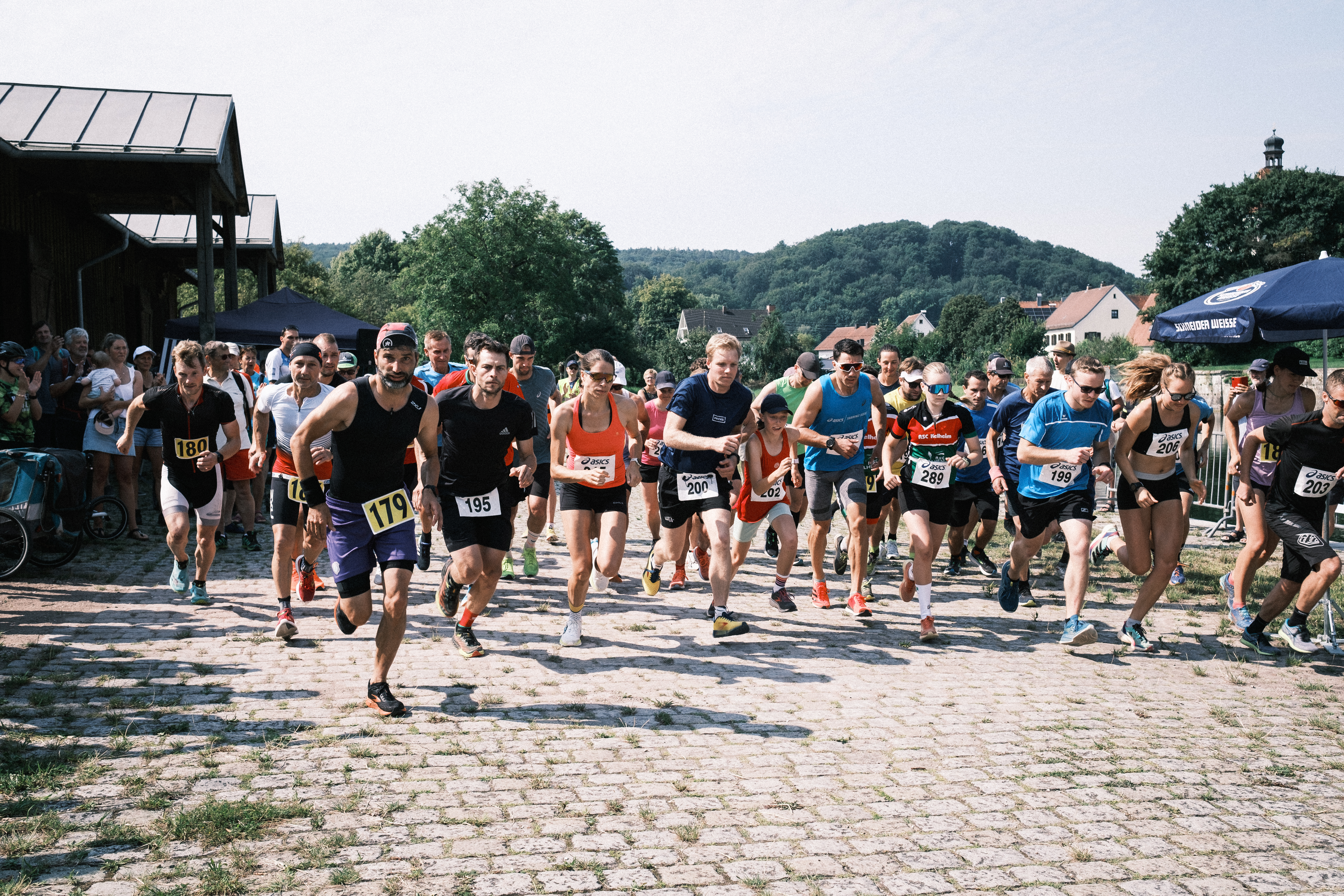 Die Athleten beim Massenstart im Alten Hafen