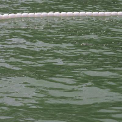 Sueddeutsche Meisterschaft 2025 149